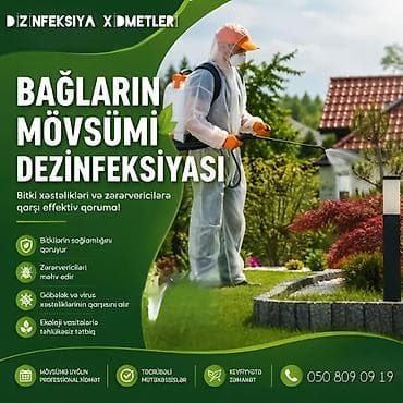 Dezinfeksiya, dezinseksiya | Ağacları çiləmə, Birələr, Taxtabiti | Evlər, Girişlər, Həyətlər — 1