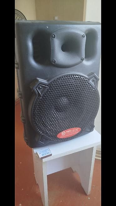 mikrofon mini: Оригинальная профессиональная активная колонка от фирмы MAX (Модель — 1