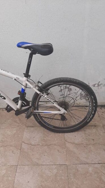 mingecevir velosiped: Dağ velosipedi Salcano, 24" — 5