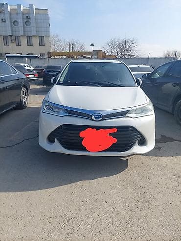 dirək: Toyota Corolla Fielder (hybrid) universal - Ban növü: universal — 2