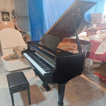 piano petrov: Royal Yeni Münasib qiymətə. Cadrılma və köklənmə qiymətə daxildi — 3