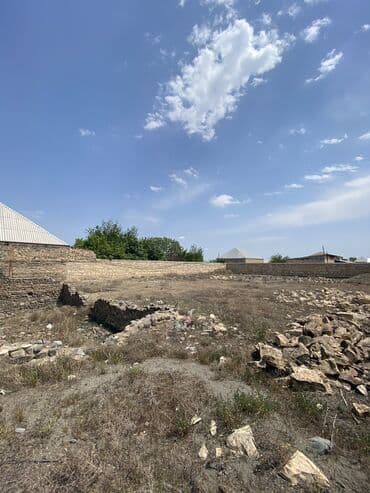 masallı kirayə ev: 10 sot, Tikinti, Mülkiyyətçi, Kupça (Çıxarış) — 8