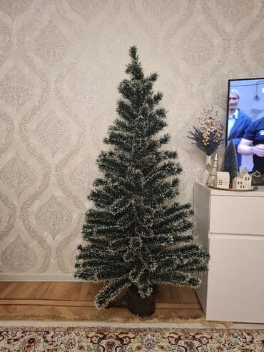 meyve agaci: Ozunden işıqlı yolka - Hündürlük: 1,80 m - Rəng: tünd yaşıl — 9