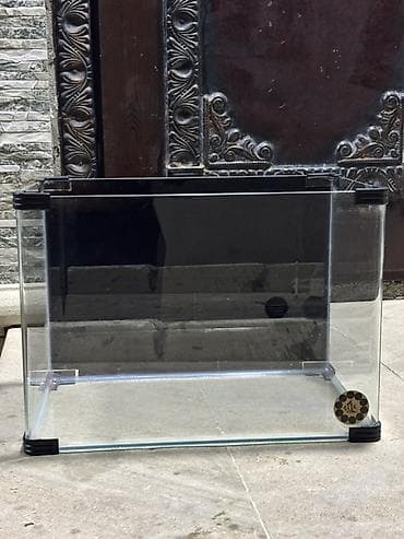 akvarium: Dördbucaq akvarium, Boş, 55 l, Ünvandan götürmə, Ödənişli çatdırılma — 1