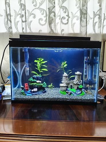 heyvan: Dördbucaq akvarium, Boş, 14 l, Ödənişli çatdırılma — 3