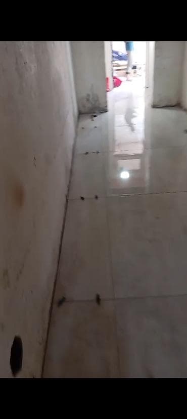 basavik satisi: Masazır 3 otaqlı, 95 kv. m, Kredit yoxdur, Orta təmir — 8