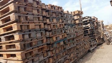 Pallet, 800 х 1200 sm lalafo.az -da Pallet, 800 х 1200 sm