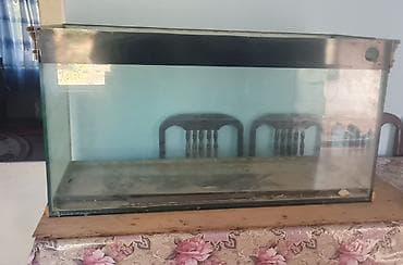 Akvaryum komplekti - Şüşə akvaryum: düzbucaqlı forma, qara üst və alt