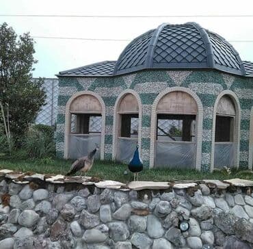 Tebii qaya ve cay daslarindan xususi zovqle gorulecek isler