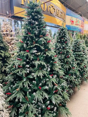 yolka isiqlari satisi: Yolka — 2