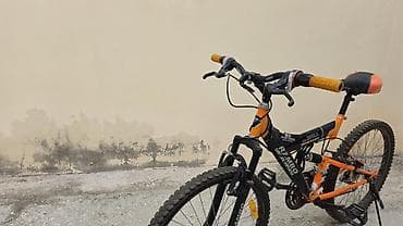 velobet: RAMBO “Super Classic Sports Bicycle” uşaq/yeniyetmə velosipedi - — 5