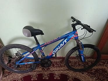 iwlenmiw velosiped: Velosiped – GINAT (MTB tipli) - Rəng: mavi-narıncı loqo və detallar - — 2