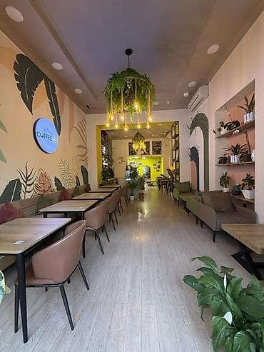 kafe aparati: Hazir işlək coffeshop biznesi 45 mn qiymət razılaşma olar Məkan — 3