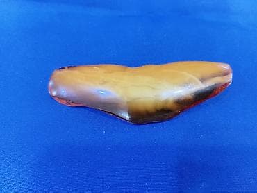 Электротранспорт: Советский рубль, 1917 год — 10