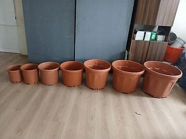 Digər bitkilər: Müxtəlif ölçülərdə plastik güllük/saqsi dəsti - Material: yüngül və — 1