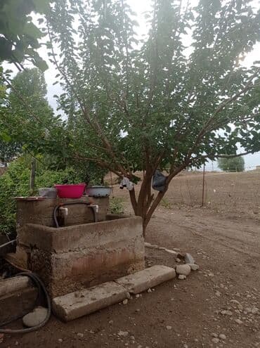 sumqayit həyət evi: 2 otaqlı, 4000 kv. m, Orta təmir — 9
