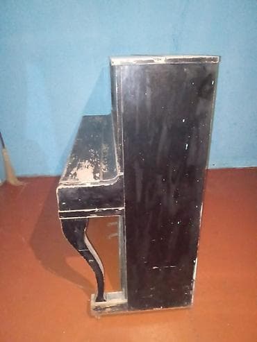 silikon piano: Piano, Belarus, Akustik — 2