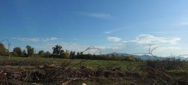 lalafo долгосрочная аренда квартир: 15 соток, Для сельского хозяйства — 2