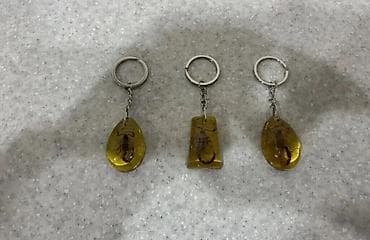 Məhsul: Açarlıq və nişan kolleksiyası Təsvir: - Futbol klubları — 4