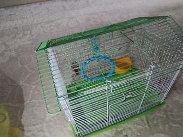 2 ci Əl Quş qəfəsi – kiçik və orta ölçülü ev quşları üçün - Rəng