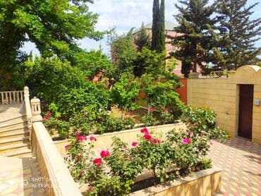 8 mikrorayon: 8 otaq, 520 kv. m, Kredit yoxdur, Orta təmir — 9