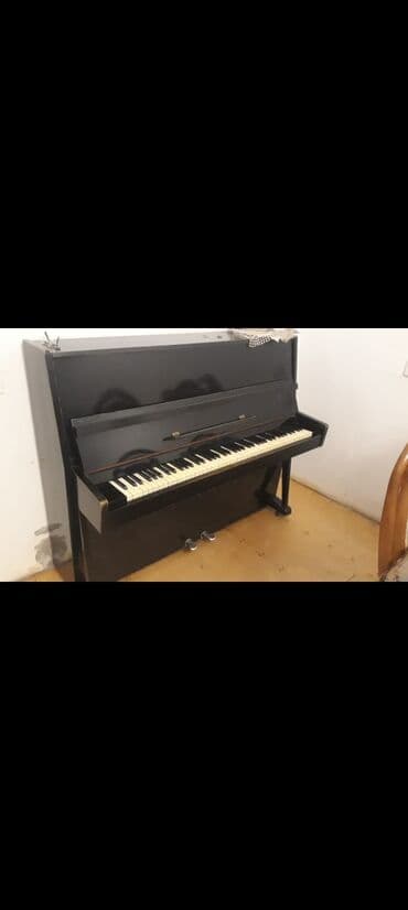 Qaşıqlar: Piano, Akustik — 1