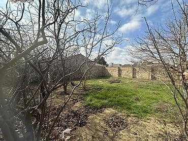 absheron: 3 sot, Tikinti, Maklerlər narahat etməsin, Kupça (Çıxarış) — 8