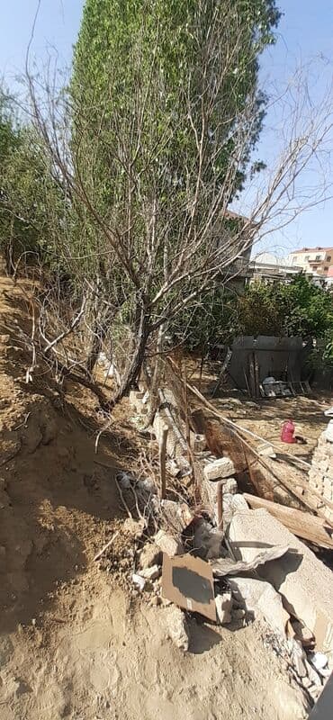 земельный участок в деревне: 15 соток, Для бизнеса, Собственник, Купчая, Бялядия (муниципалитет), Договор — 5