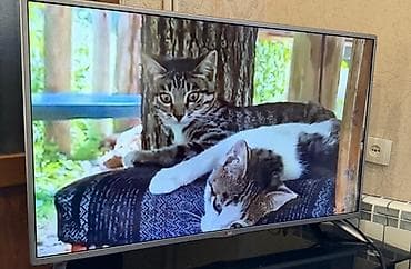 irşad electronics televizorlar: 107 ekran smart lg tv 310 Azn.Son qiymət❗Yaxşı vəziyyətdədir.Köçlə — 1