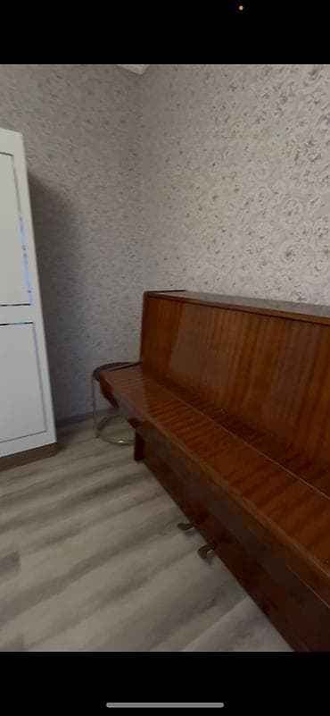 firuze: Rosiya istehsali Pionina Satilir iwlenmiyib ama koklenib — 2