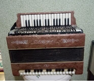 Fleytalar: Akustik Akkordeon — 4