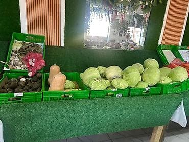 quru vitrin: Meyvə-tərəvəz və ərzaq üçün plastik yeşik - Material: möhkəm, qalın — 4