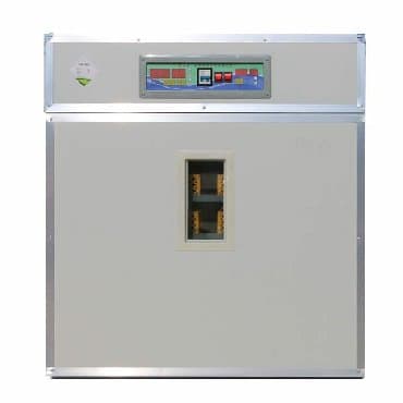 1500 yumurta, Çin, Fabrik istehsalı, Tam avtomat, Bütün növ quşlaq üçün