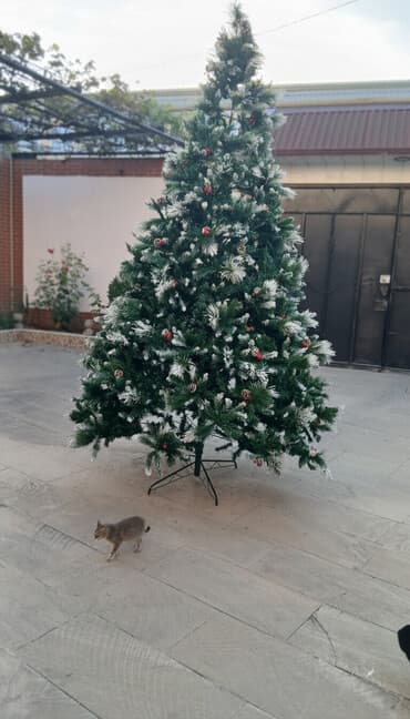 şam ağacı satılır: Böyük ölçülü süni Yeni il şam ağacı - Təxminən 2.7–3 m hündürlükdə — 1