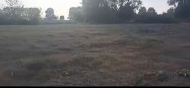 недвижимость в закатале: Kupça (Çıxarış) — 1