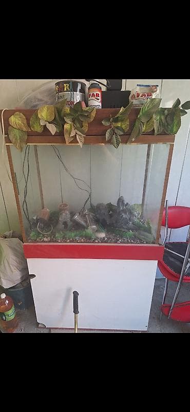 kompresör 100 lt: Dördbucaq akvarium, Boş, 100 l, Ünvandan götürmə — 2