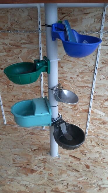 Inəklər, öküzlər: Heyvanlar üçün Suluklar 
İri buynuzlu 
Keçi 
Qoyun 
Müxtəlif suluklar — 1