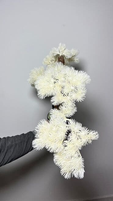 budda: Süni bonsai ağacı – dekorativ içməkan yaşıllaşdırma üçün - Realistik — 29