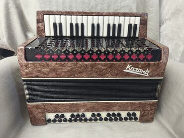 uşaq akkordeonu: Akkordeon, Pulsuz çatdırılma — 4