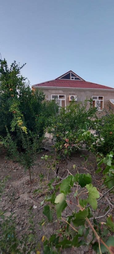Продажа дач: TƏCİLİ Şirvan şəhərində 3 otaqlı bağ evi 55000 azn. 6 sot . Kombi — 8