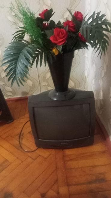 Televizor 20 azn
