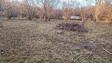 kiraye evler 2023: 16 sot, Kənd təsərrüfatı, Mülkiyyətçi, Kupça (Çıxarış) — 5