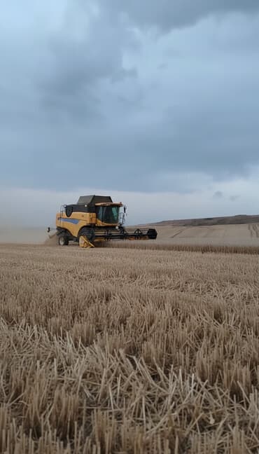 земельные участки на продажу: 200 соток, Для сельского хозяйства, Купчая, Бялядия (муниципалитет), Техпаспорт — 3