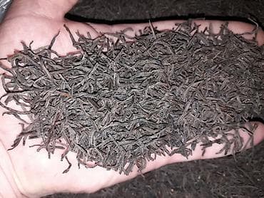 bildirçin yumurtası qiyməti: Salam.lenkeranin( ince) çayi yalniz bizde bu çay lenkeranin en — 6