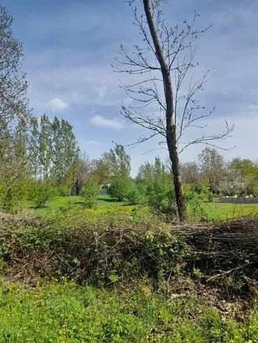 аренда и продажа недвижимости: 30 sot, Kənd təsərrüfatı, Mülkiyyətçi, Kupça (Çıxarış) — 16