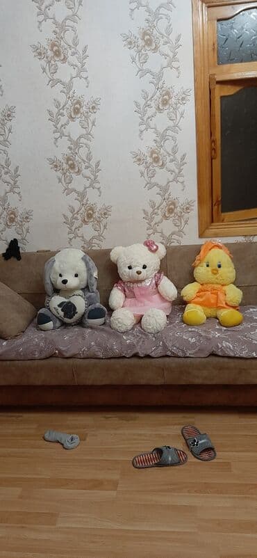 ayı pəncəsi yağı qiyməti: Mişka 15 azn — 1