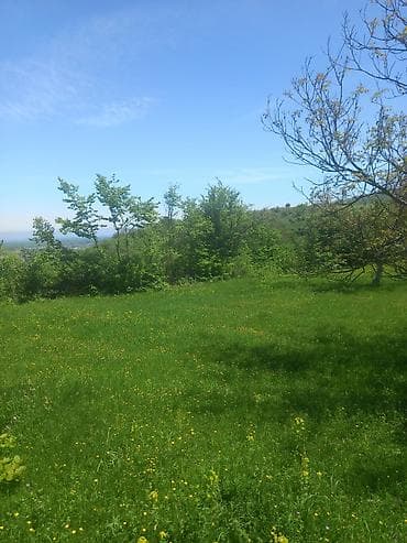 qobuda torpag: 4 sot, Tikinti, Maklerlər narahat etməsin, Kupça (Çıxarış) — 3