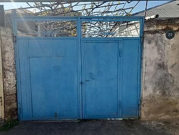 demir qapi darvaza: Dəmir Həyət darvazası, Mexaniki, Qapı ilə, rəng - Mavi — 2