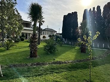 Peşəkar landşaft dizaynı və yaşıllaşdırma xidməti - Həyət və bağların