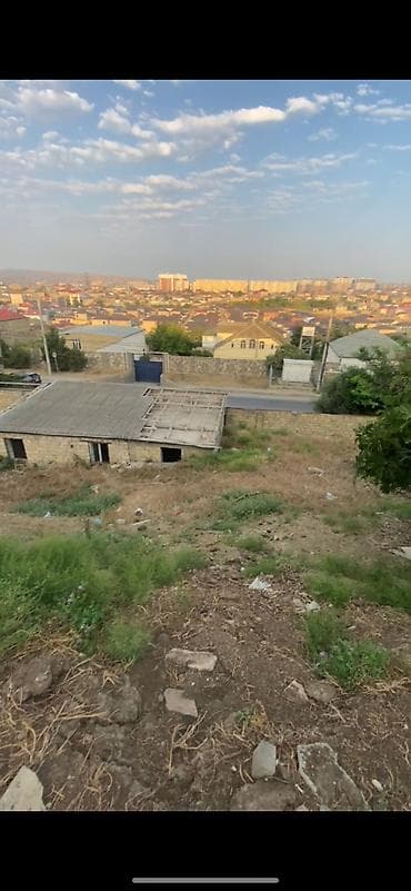 topaq: 15 sot, Tikinti, Kupça (Çıxarış) — 5